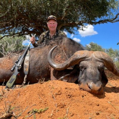 Gold Medal Cape Buffalo 2021
